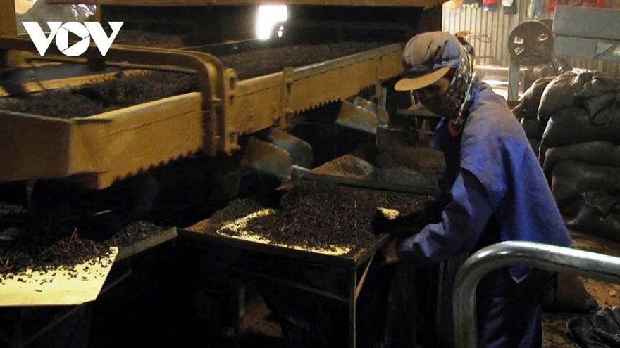 Trade ministry takes action as nearly 500 tea containers stuck at Karachi port